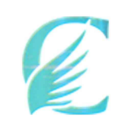 icon PON89